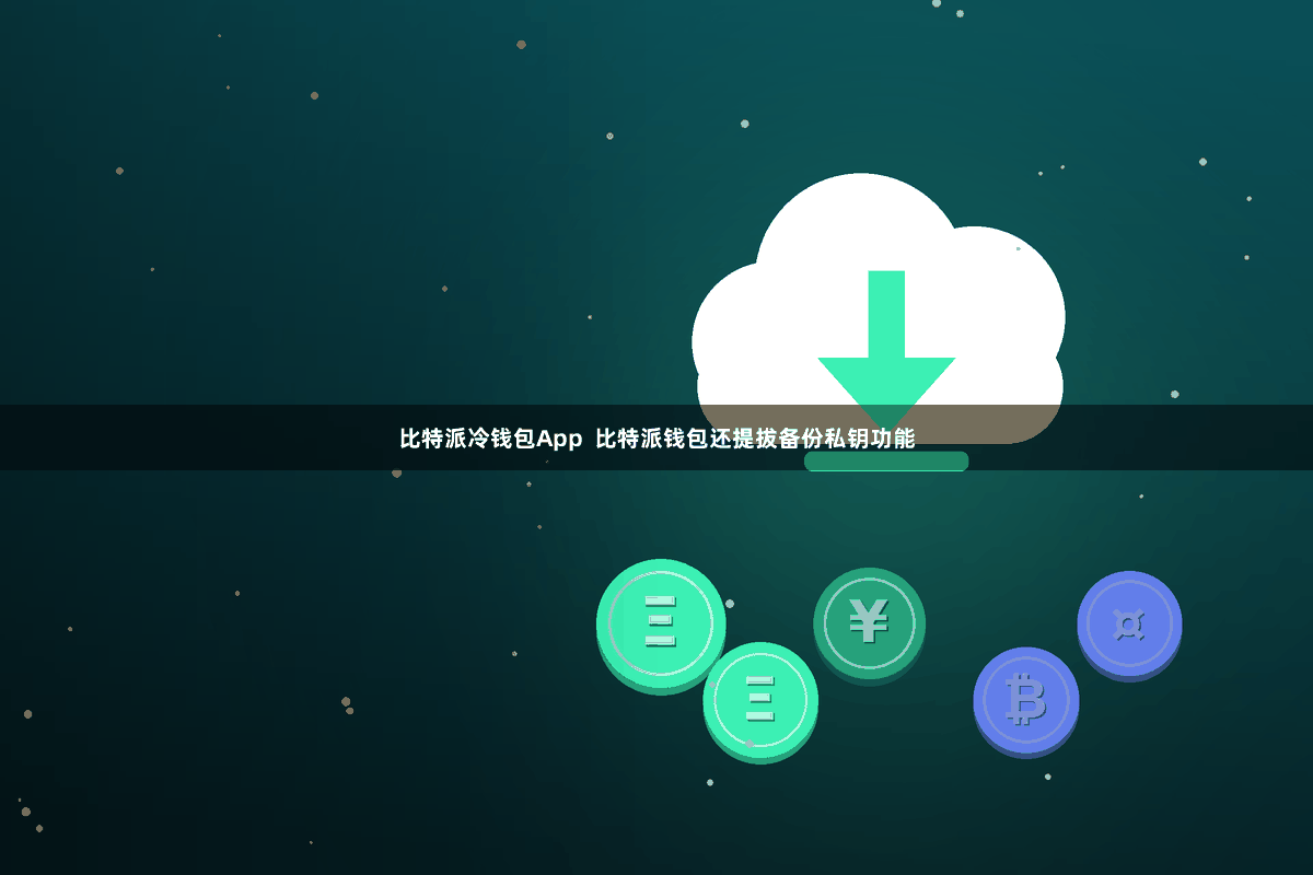 比特派冷钱包App 比特派钱包还提拔备份私钥功能