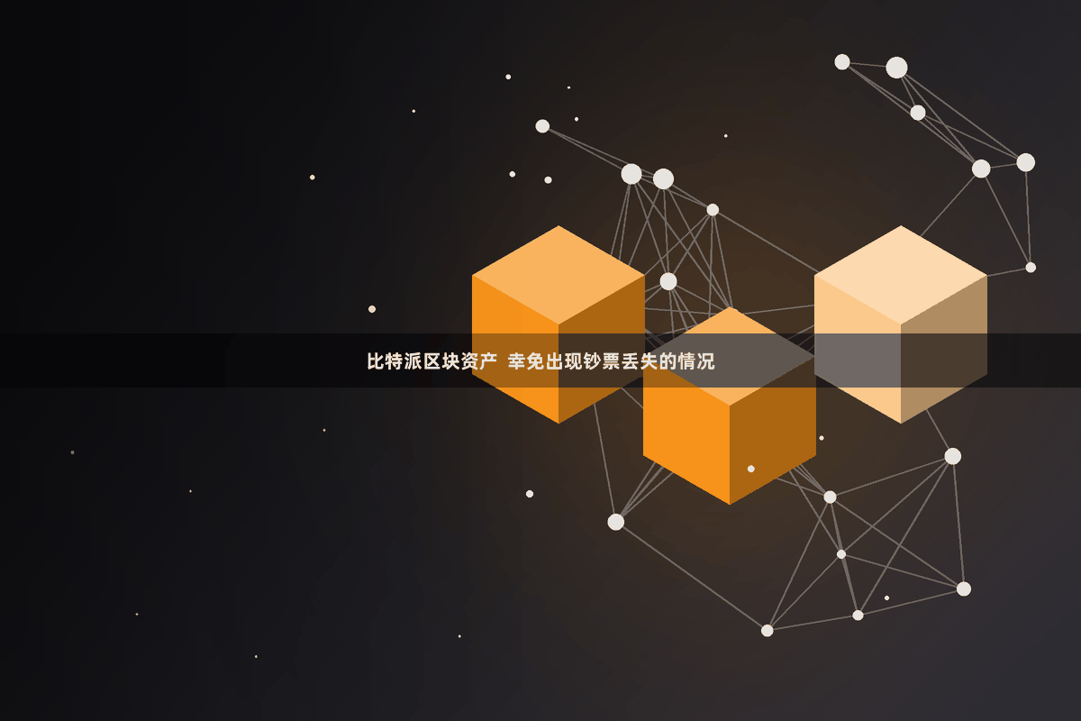 比特派区块资产  幸免出现钞票丢失的情况